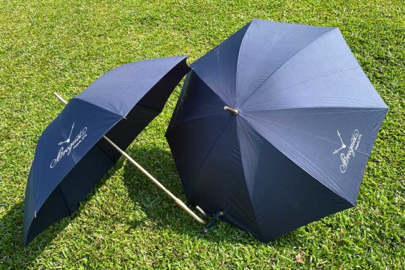 Corporate Gift - Umbrella