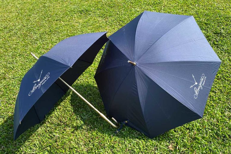 Corporate Gift - Umbrella